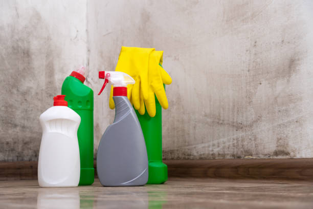 Professional Mold Prevention & Removal  in Redland, MD